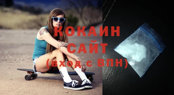 мдпв Михайлов
