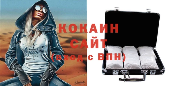 мдпв Михайлов