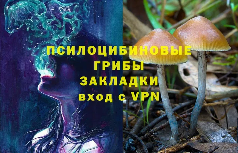 Галлюциногенные грибы Magic Shrooms  маркетплейс Telegram  Ирбит 