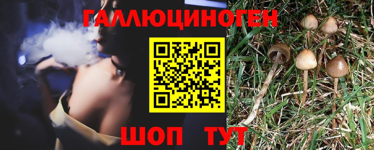 Галлюциногенные грибы мухоморы Ирбит