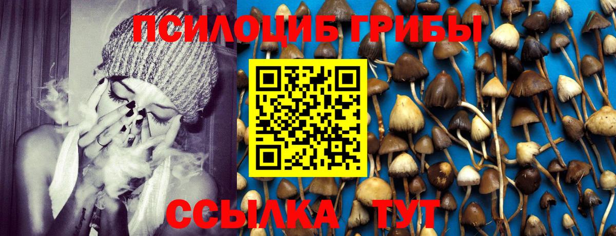 Галлюциногенные грибы MAGIC MUSHROOMS Ирбит