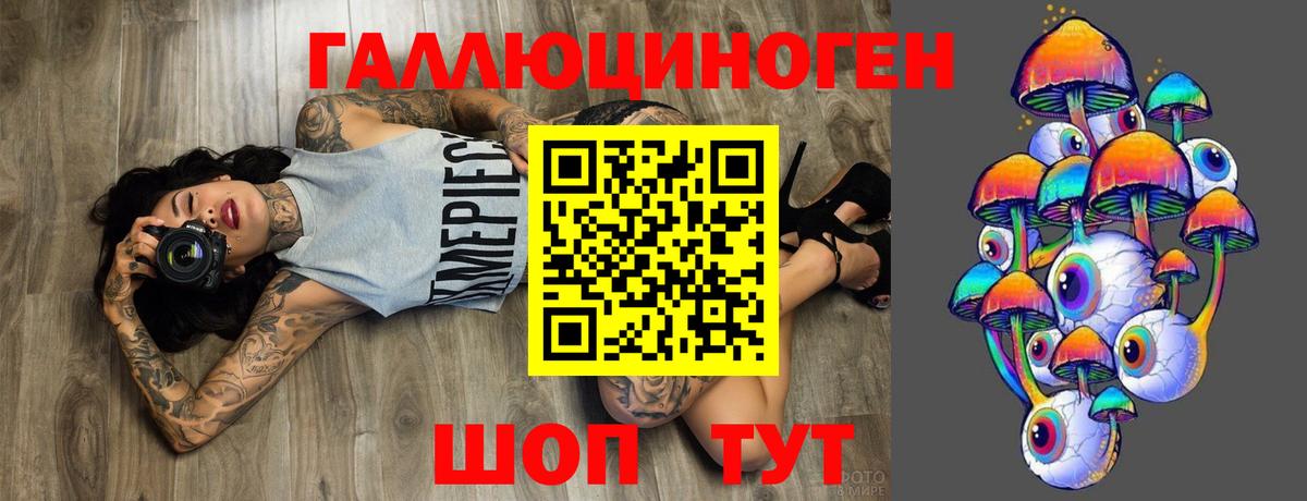 Ирбит  Галлюциногенные грибы Psilocybe  Вход с VPN 