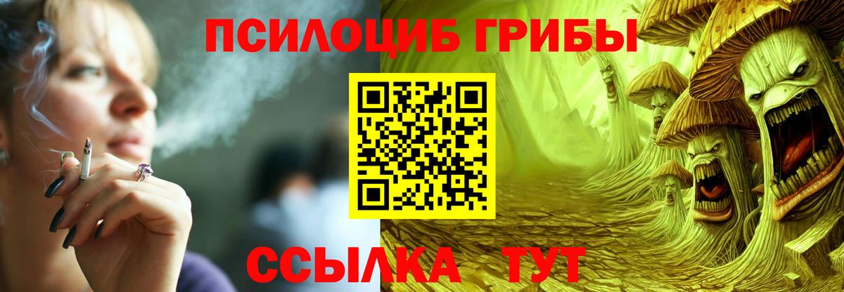 Галлюциногенные грибы Psilocybine cubensis  Ирбит 